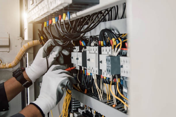 Best Local Electrician Companies  in Janesville, CA